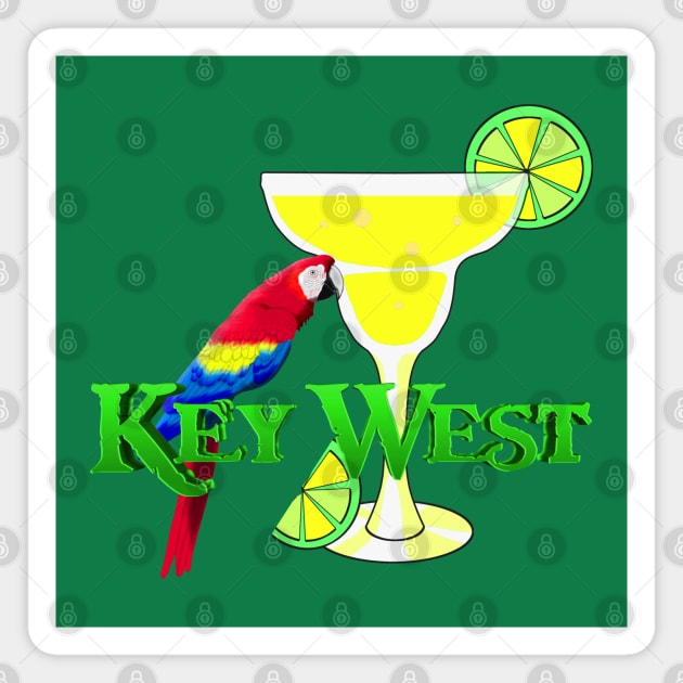 Key West Margarita Parrot Magnet by macdonaldcreativestudios